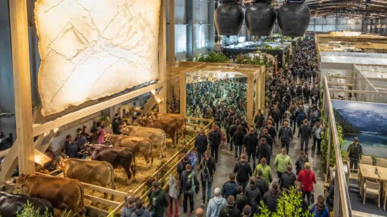 Schwyz präsentiert sich an der Olma auf 1'000 Quadratmetern mit Tradition und Wirtschaftskraft