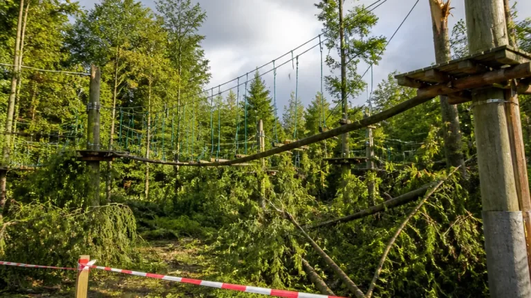 Seilpark Balmberg nach Unwetter geschlossen – Zukunft nach Sturmschäden ungewiss