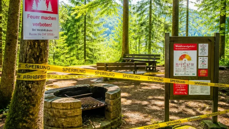 Wegen Hitze: Auch offizielle Grillstellen in Freiburg bleiben gesperrt