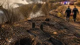 400 incendios en agosto dejaron 1.512 hectáreas dañadas y 11 animales silvestres muertos en Cundinamarca