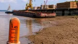 Bajante del río Magdalena reduce calado a 1,45 m; navegación y carga ya sufren efectos