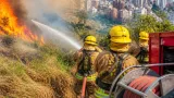 Bucaramanga: Bomberos reportan 81 emergencias en agosto, 53 fueron incendios forestales