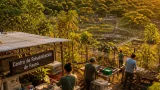 Cabildo Verde, de Sabana de Torres, entre los 50 finalistas de los Premios Verdes 2026