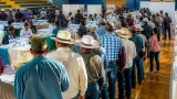 Caldas consolida sus nuevas directivas cafeteras con participación récord del 82,46%