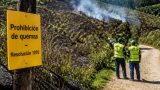 Caldas reporta 100 incendios y quemas en agosto; 835 hectáreas afectadas y alerta por suspensión de quemas