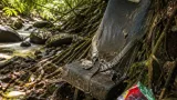 Cayó 3.000 metros y sobrevivió 11 días en la Amazonía: la historia de Juliane Koepcke