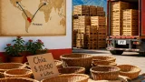 Chía: el auge de las exportaciones paraguayas y sus implicaciones para los mercados locales