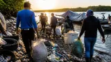 Ciénaga de Progreso refleja el reto de la limpieza: 1.548 kg de residuos retirados