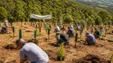 Comunidad El Chaparral impulsa reforestación y siembra 955 árboles en El Paisnal