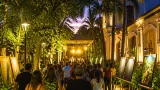 Conciertos, exposiciones y actividades: la agenda cultural de Córdoba para hoy