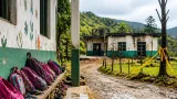 Defensoría declara alerta por riesgo inminente para 175 menores cerca de subestación en Puerto Rico, Caquetá
