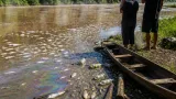 Defensoría pide respuestas ante muerte de peces y olores en ríos del Putumayo