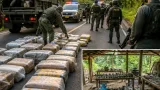 Ejército y Policía incautan más de 4 toneladas de marihuana y desmantelan taller de explosivos en Caquetá