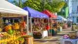 Feria en Ciénaga impulsa a campesinos y emprendedores desde la Plaza del Centenario