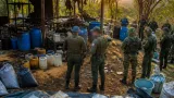 Fuerzas del Estado destruyen laboratorio del ELN en Mercaderes con 1,8 toneladas de cocaína