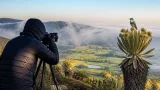 Huila suma dos especies más de aves y alcanza 760 registros, según autoridades ambientales