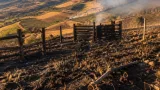 Incendios en Nariño dejan más de 1.400 hectáreas dañadas y pérdidas por $15.779 millones