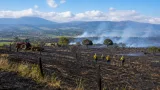 Incendios en Tolima dejan más de 50.000 hectáreas dañadas y 28.000 productores afectados