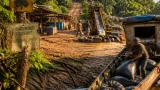 Investigación vincula extracción ilegal de casiterita en la Amazonía con cadenas globales y supuesta trama empresarial
