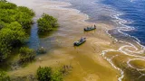 La pluma del Amazonas reconfigura costas y modos de vida en el litoral: pesca, nutrientes y cambio climático