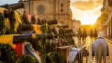 Las coronas de la campaña libertadora: de Pichincha a Lima, la forja del mito de Bolívar