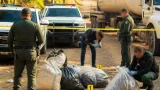 Más de 3,1 toneladas de drogas incautadas en operativos en Quindío e Isnos (Huila)