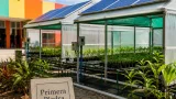 Montería pone en marcha tres viveros bioclimáticos para producir hasta 45.000 plántulas al año