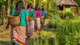 Mujeres awajún lideran la protección y transmisión de saberes en el Bosque de Nuwas