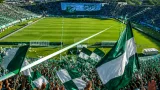 Pereira busca recuperar el rumbo ante Bucaramanga en el Estadio Deportivo Cali
