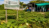 Proyecto del nuevo centro de salud de Trinidad, Casanare, quedó en lote y cultivos tras contrato de $17.169 millones