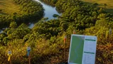 Proyecto en Vichada avanza para convertir bosques en fuente de financiación de la conservación