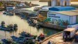 Tumaco impulsa un complejo agroindustrial para industrializar pesca, cacao y coco