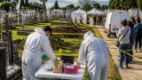 UBPD recuperó 29 cuerpos en Cartago; 13 ya reúnen criterios para verificación inmediata