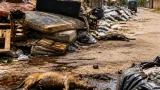 Vecinos de Piraquive denuncian vertedero informal con muebles, animales muertos y malos olores