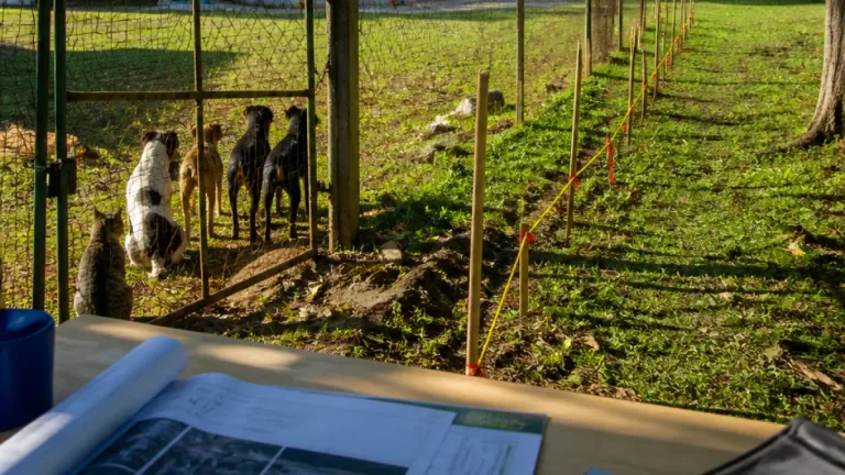 Animalistas de Espinal denuncian que cerramiento afecta terreno del albergue municipal