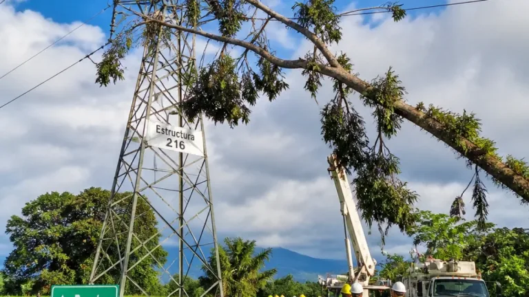 Caída de un árbol ocasionó falla en línea de 115 kV y deja sin energía a cinco municipios del Bajo Putumayo