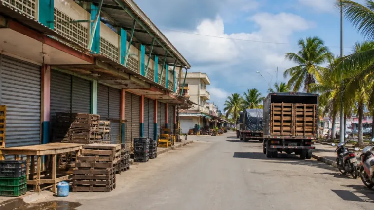 Ciénaga sufre pérdidas económicas por paro armado que paralizó actividad en la zona