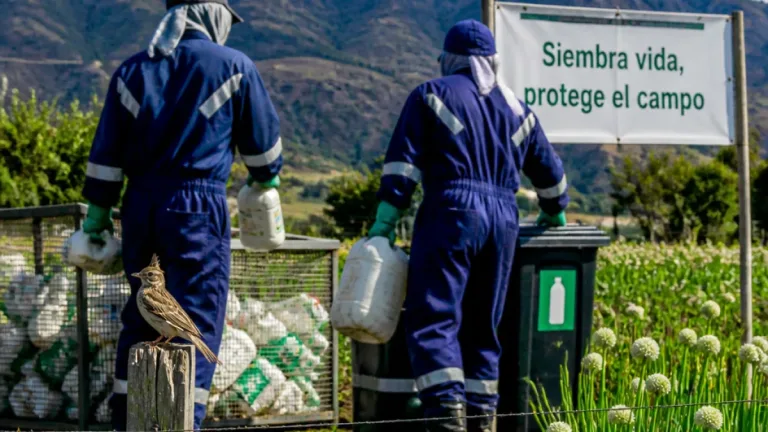 Corpoboyacá une recolección de plaguicidas y conservación de aves en municipios agrícolas