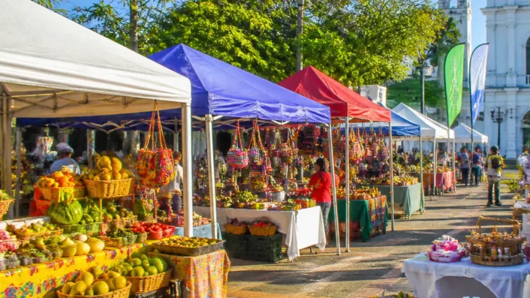 Feria en Ciénaga impulsa a campesinos y emprendedores desde la Plaza del Centenario