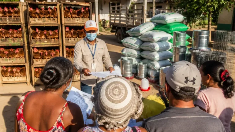Gobernación entrega 5.940 gallinas para fortalecer la economía campesina en seis municipios del Atlántico