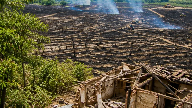 Incendios en Amazonas afectaron 426 hectáreas en septiembre; el fuego más grande consumió ~400 ha en Ocumal