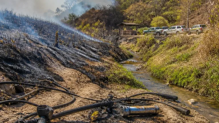 Incendios en zona rural de Ocaña consumen 1.000 hectáreas y dejan campesinos en emergencia