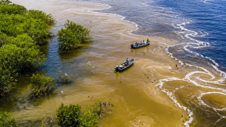 La pluma del Amazonas reconfigura costas y modos de vida en el litoral: pesca, nutrientes y cambio climático