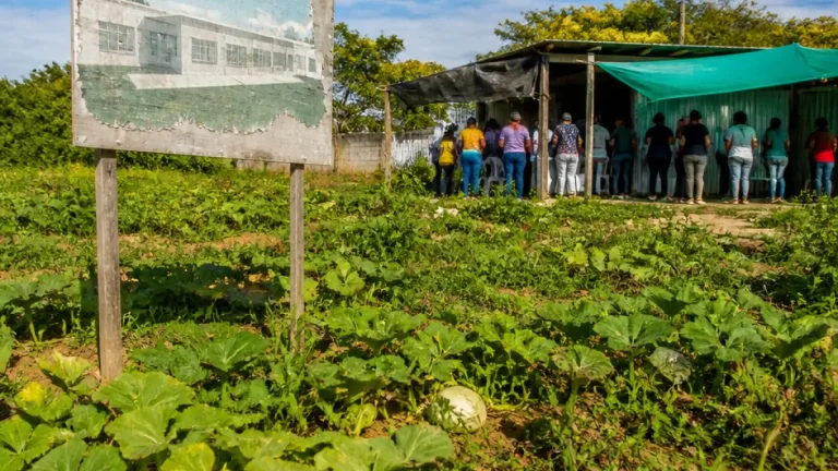 Proyecto del nuevo centro de salud de Trinidad, Casanare, quedó en lote y cultivos tras contrato de $17.169 millones