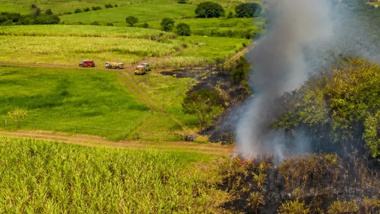 UNGRD reporta 12 incendios activos y confirma un foco en La Dorada, Caldas