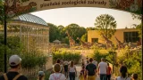 Plzeňská zoo otevře expozici Waharoa s kiviem a hravými papoušky kea