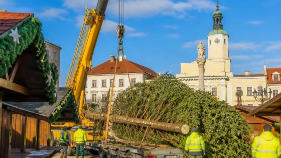 Jirkov vyhlásil pátrání po vánočním stromu pro městské náměstí