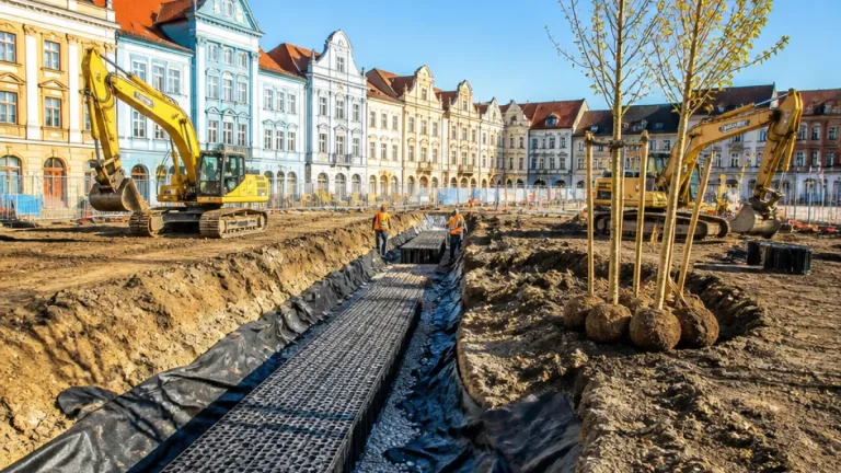 Česká Lípa získala dotaci na vsakovací opatření a výsadbu stromů na Škroupově náměstí