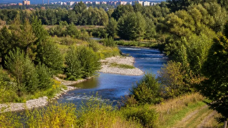 Frýdek-Místek: kousek za hranicí města leží neregulovaná divočina Morávky