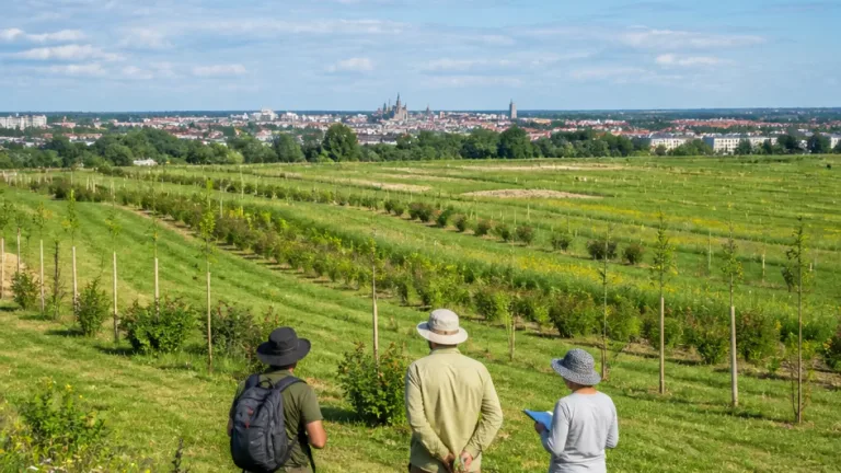 Okolí Olomouce se promění v mozaiku luk, stromů a biokoridorů